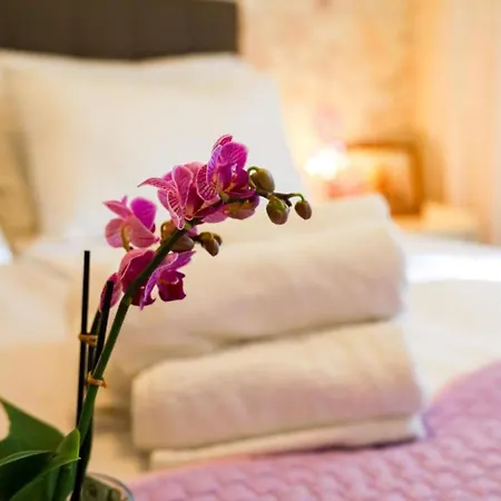 Franov Butique - One Bedroom With Sea View Ana